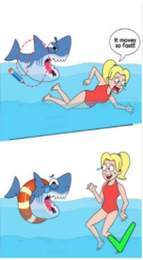 画出人生红包版(1)