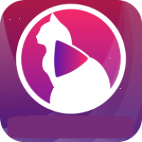 小猫直播手机版