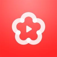 梅花视频手机版