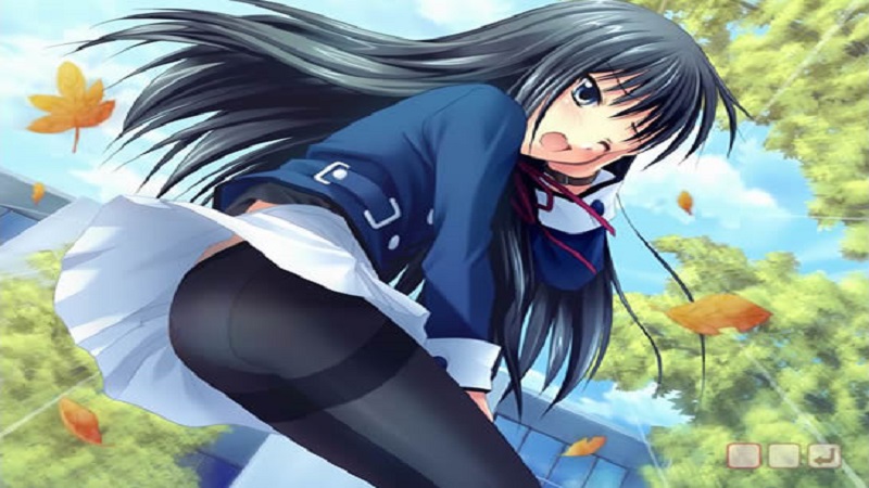 阳光下的真实安卓最新版 1