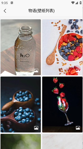 随心手机壁纸app最新版图1