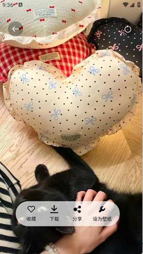 随心手机壁纸app最新版图4