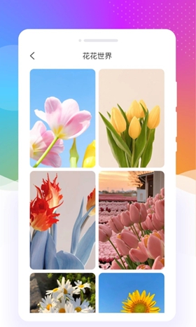 元气口袋壁纸app正版最新版图3