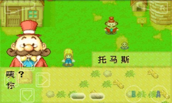 牧场物语女孩版中文版图1