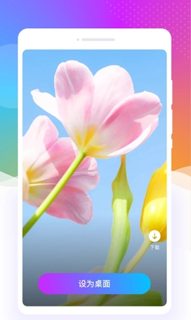 元气口袋壁纸app正版最新版图4