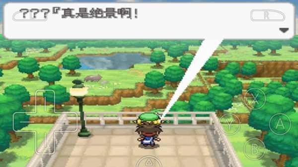 口袋妖怪黑2中文版图2